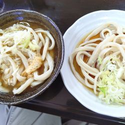 かけうどん＋冷しうどんの食べ比べセット