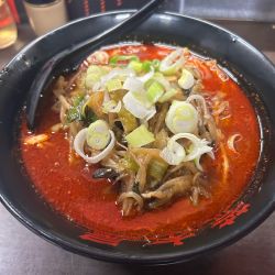 大辛野菜麺