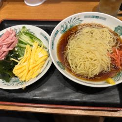 黒酢しょうゆ冷し麺（並盛・155g）650円