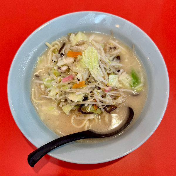 「ちゃんぽん 並（950円）」@ちゃんぽん家の写真