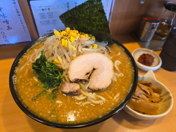 「濃厚味噌らぁめん(普通)・大盛・メンマ・辛味噌玉」@らぁめん雉虎の写真