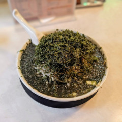 ベトコン 本店の画像