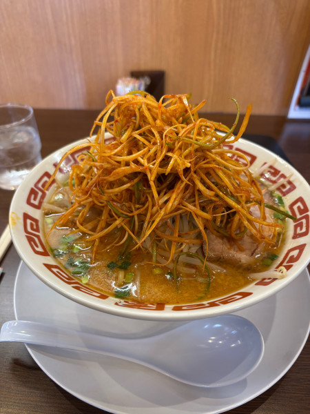 「辛ネギ熟成味噌ラーメン」@ラーメン屋 壱番亭 下妻店の写真