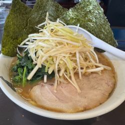 ネギラーメン（しょうゆ）