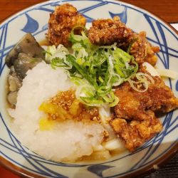 鶏唐鬼おろし(並)