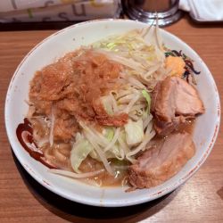 ミニ（脂多め・ニンニク￥950）