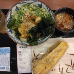 冷ぶっかけ並420円、大根おろし90円、長なす天170円