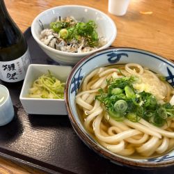 しらすご飯 かけうどんセット800円+獺祭