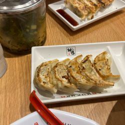 餃子（半炒飯・餃子セット）