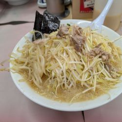 ネギラーメン　中盛みそネギトリプル