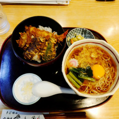 入新井 愛知家の画像