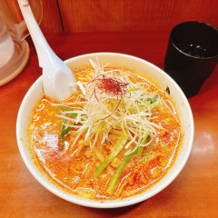 初代 秀ちゃんの画像