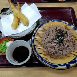 天ざるそば1050円