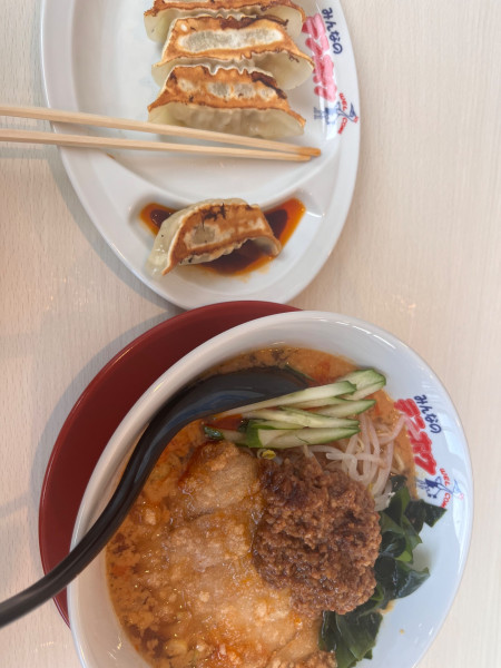 「肉揚げ辛口冷やしタンタンメン細 ぎょうざセット1,500円」@みんなのテンホウ イオンタウン松本村井店の写真