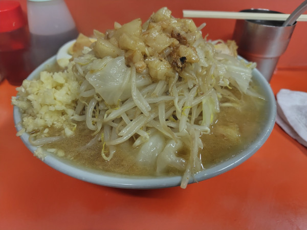 「ラーメン少なめ」@ラーメン富士丸 神谷本店の写真