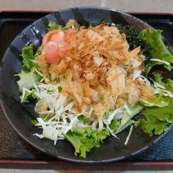 冷やしサラダうどん 950円
