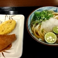 すだちおろし冷かけうどん（５５０円）
