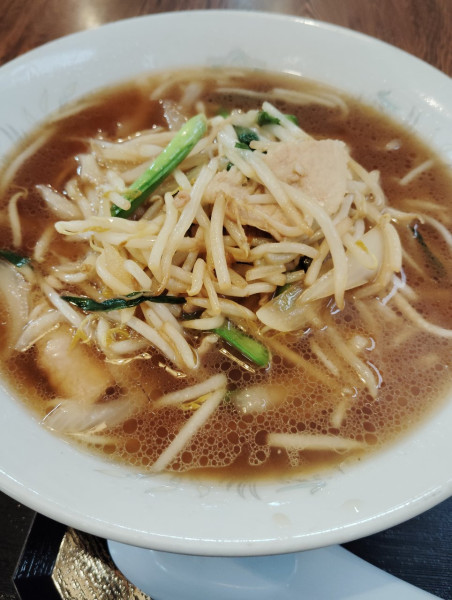 「もやしラーメン」@味のきばらしの写真