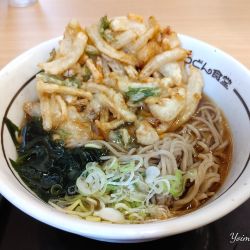 天ぷらそば（温：640円）