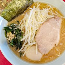 ネギ味噌ラーメン（脂多め）＋味玉
