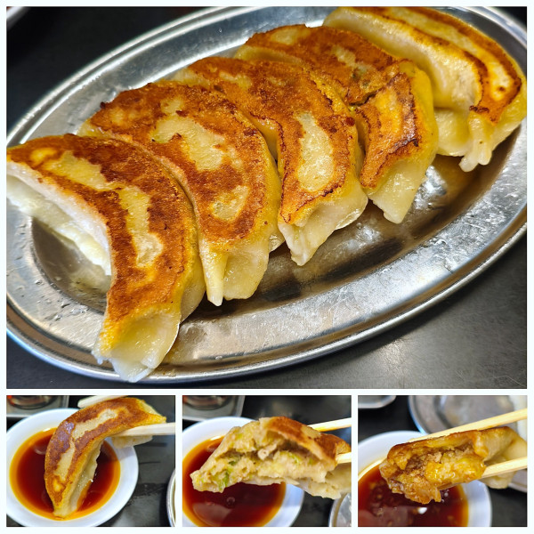 「手打ち餃子(5個)　¥600」@中国手打拉麺 馬賊 浅草本店の写真