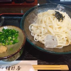 ざるうどん
