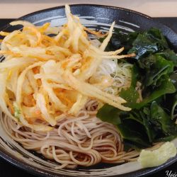 野菜かき揚げ（冷：580円）、三陸わかめ（無料）
