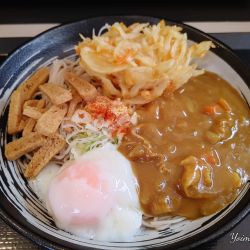 朝そば（冷・温玉：450円）、カレールウ（無料）