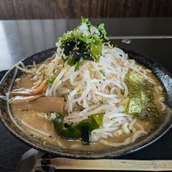 みそとんこつ大盛（肉抜き、卵なし）600円
