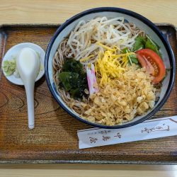 冷したぬきそば：1000円