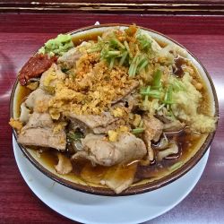 冷やし肉めん 天かす 辛味 ショウガ ワサビ 三つ葉