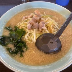 ネギラーメン小　850円