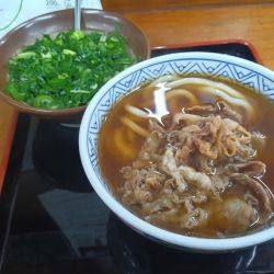 肉うどん