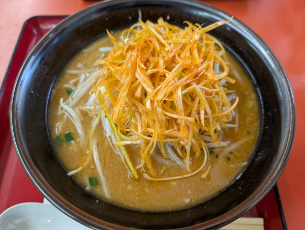 「ねぎ味噌ラーメン」@くるまやラーメン 足立保木間店の写真