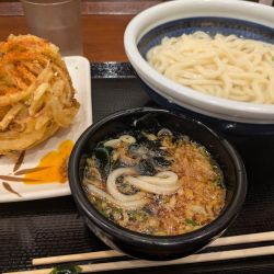 釜揚げうどん(得)+かき揚げ