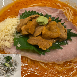 [限定]ウニラーメン+しらすごはん