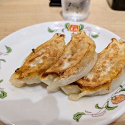 にんにく激増し餃子（ジャストサイズ）