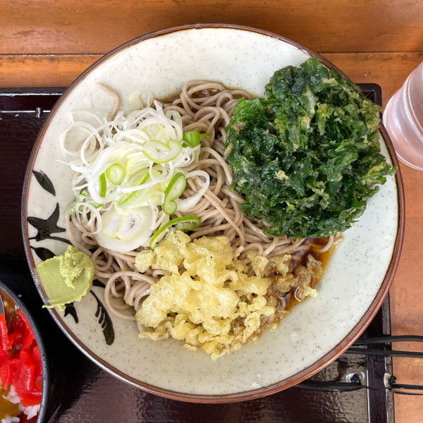 「冷したぬきそば」@亀島の写真