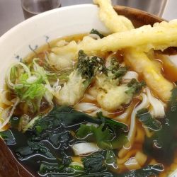 春（姫竹・たらの芽）きしめん