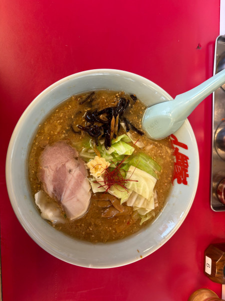 「濃厚白味噌とんこつラーメン」@ラーメン山岡家 上三川店の写真