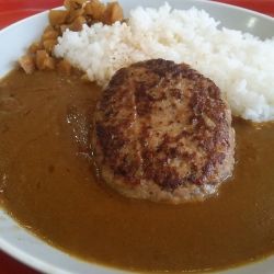 フォンドボーカレー M 600円＋ハンバーグ 380円