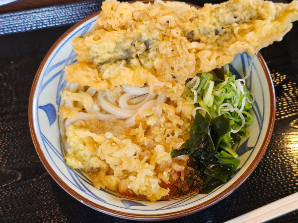 「かけうどん（並）秋刀魚の天ぷら　420＋α円」@丸亀製麺 弘前店の写真