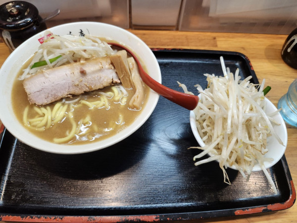 「味噌ラーメン+大盛もやし」@味噌麺処 花道庵の写真