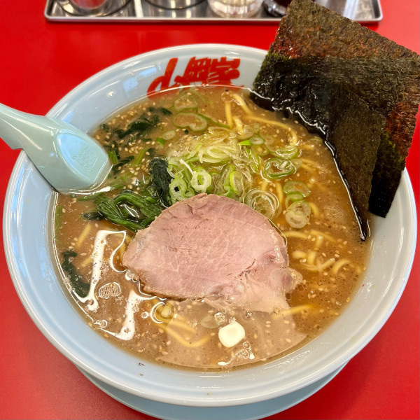 「味噌ラーメン〝中盛〟」@ラーメン山岡家 野々市店の写真