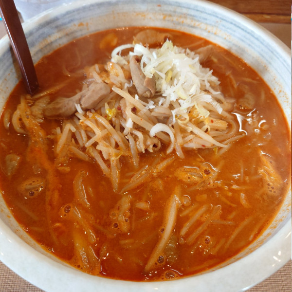 「ホルモンラーメン」@パルパル亭の写真