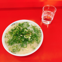 ぶんりゅうの画像