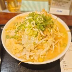 贅沢野菜塩豚骨タンメン＋炒め野菜増し＋おろし大蒜、生姜