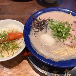 泡系豚骨ラーメン+味玉+明太子丼