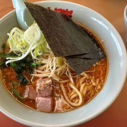 辛味噌ネギ+青ネギ