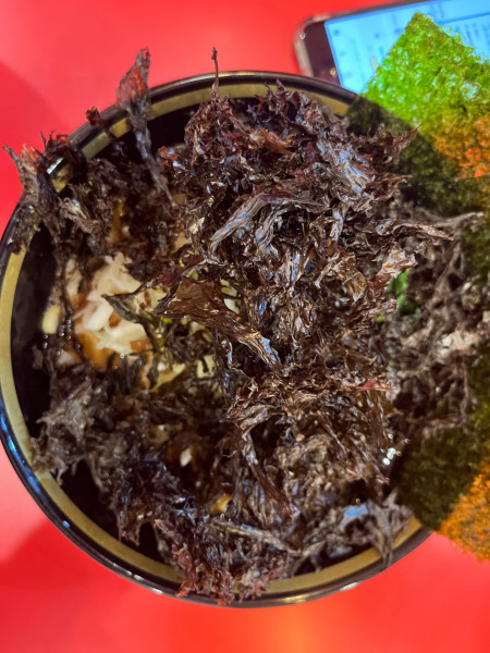 「ラーメン(並)900円＋岩のり200円＋フォロワー薬味ネギ」@横浜家系ラーメン 大輝家の写真